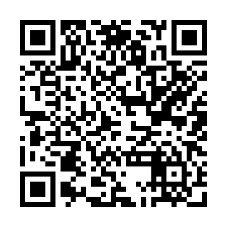 QR code for AMI385