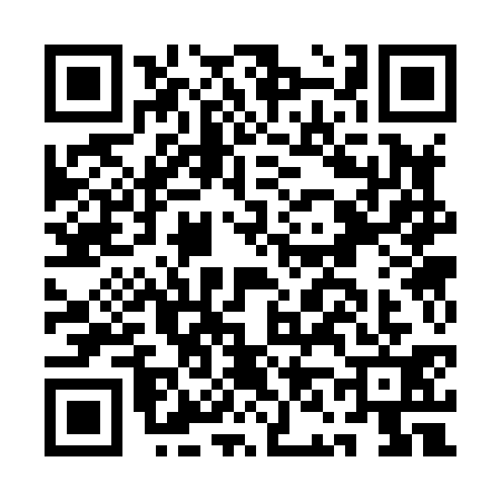QR code for AN38317