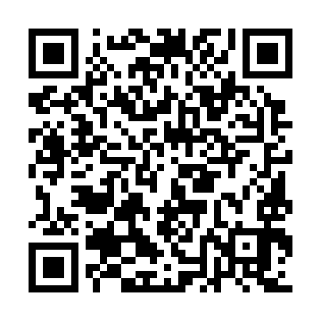 QR code for ANE393