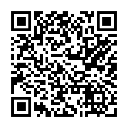 QR code for ANY297