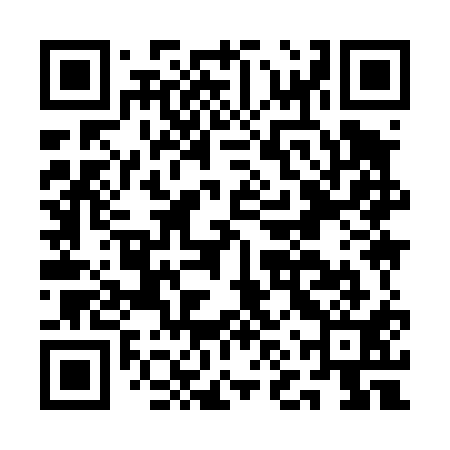 QR code for ANY411