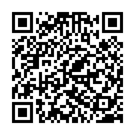 QR code for APA038
