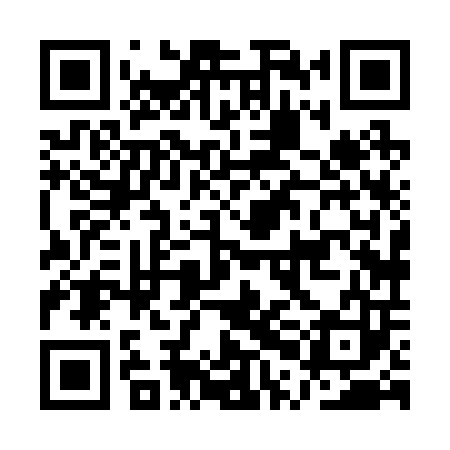 QR code for APH203