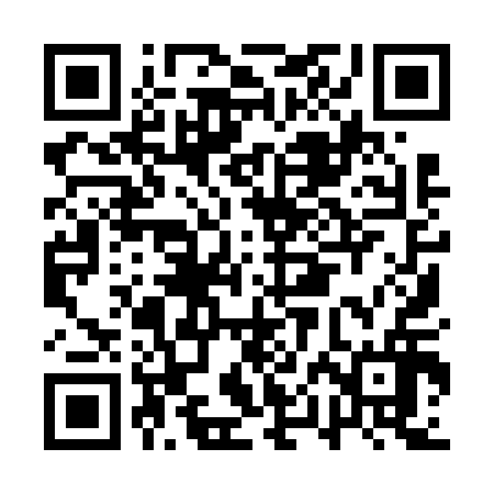 QR code for API616