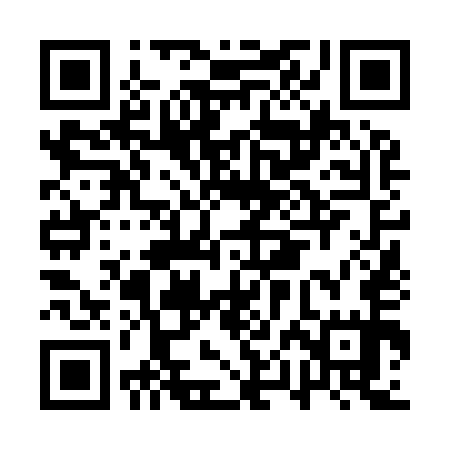 QR code for APN955