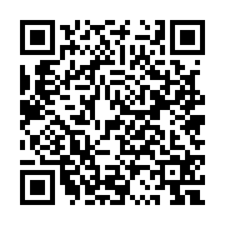 QR code for AR51249