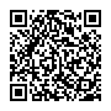 QR code for ARM119