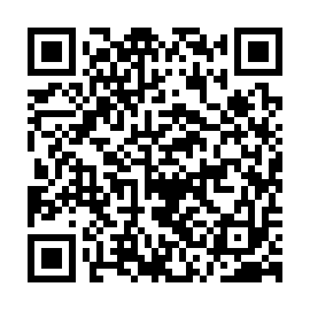 QR code for ASI313