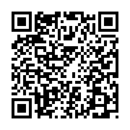 QR code for AY81919