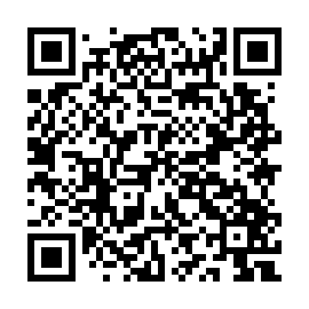 QR code for AYY747