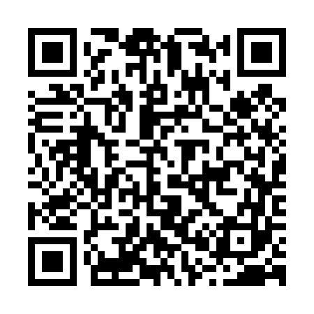 QR code for B03463