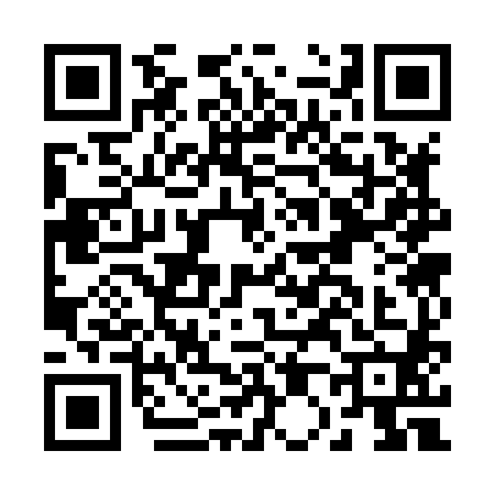 QR code for B038809