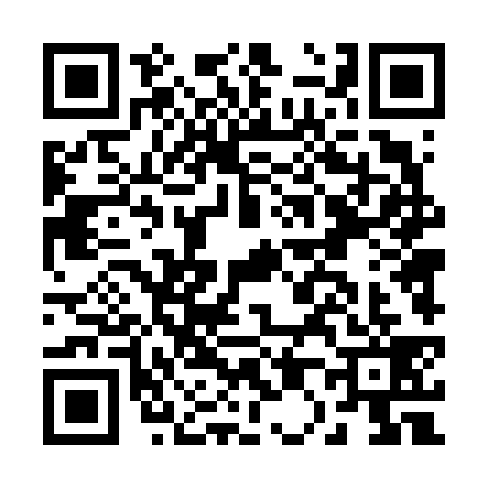 QR code for B046393