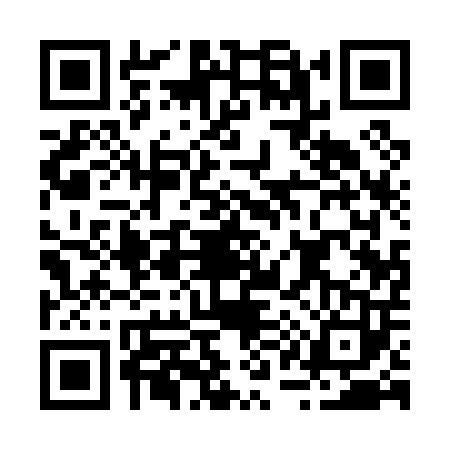 QR code for B110036