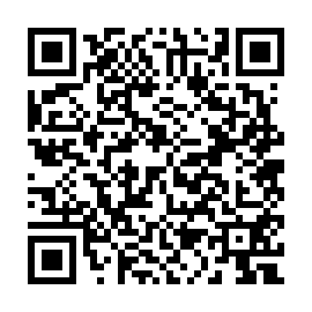 QR code for B126501