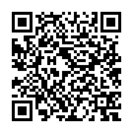 QR code for B225341