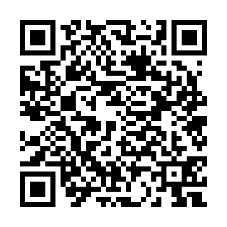 QR code for B272314