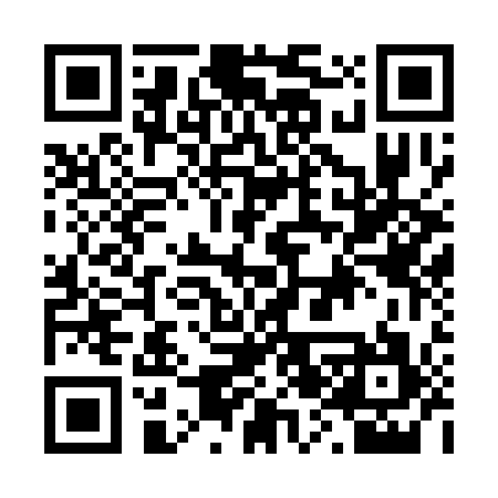 QR code for B27317