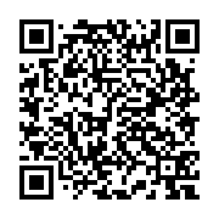 QR code for B28171