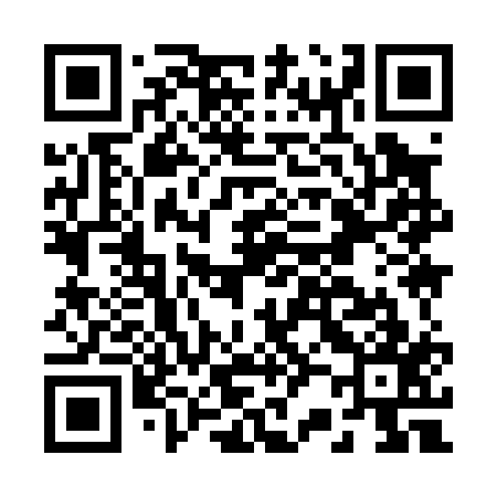 QR code for B29017