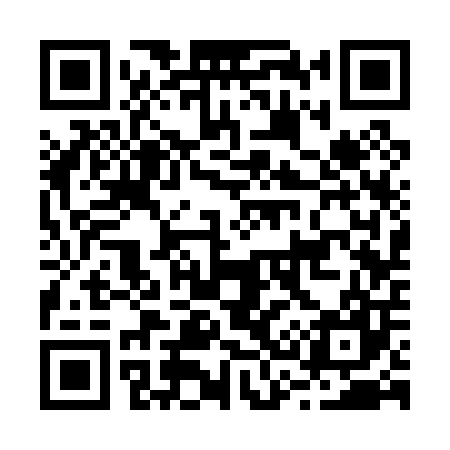 QR code for B33007