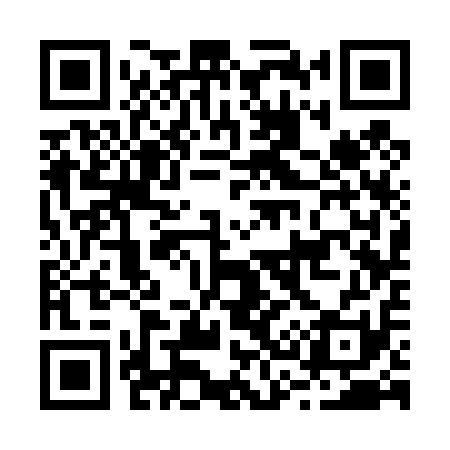 QR code for B33411
