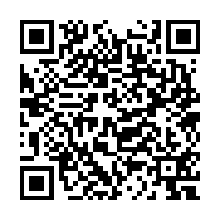 QR code for B336115