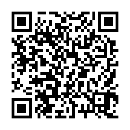 QR code for B38340