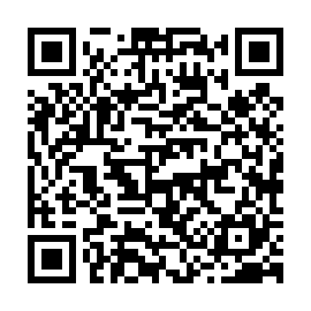 QR code for B38425
