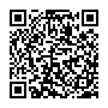 QR code for B38503