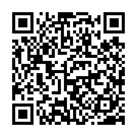QR code for B38620