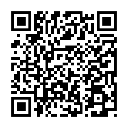 QR code for B390549