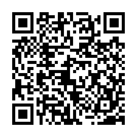 QR code for B397569