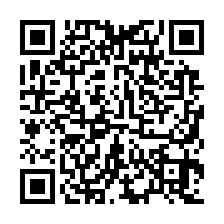 QR code for B413319