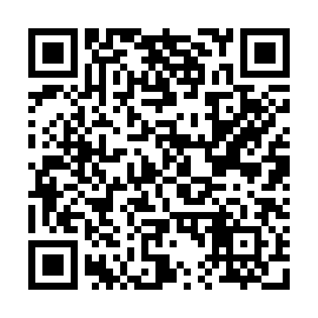 QR code for B42382