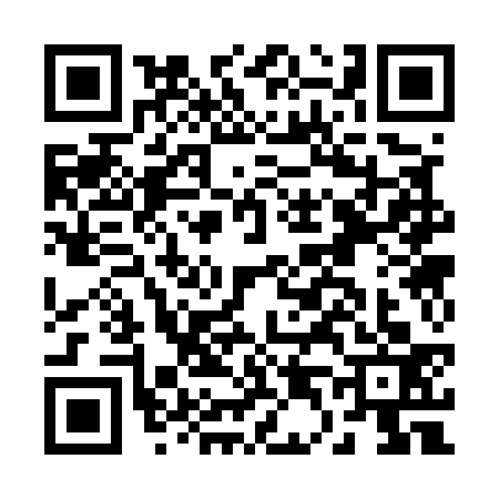 QR code for B435338