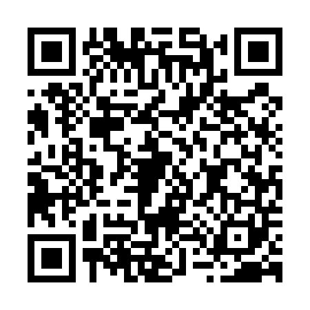 QR code for B455411