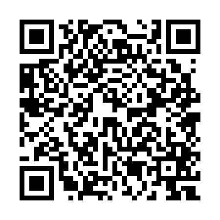 QR code for B503453