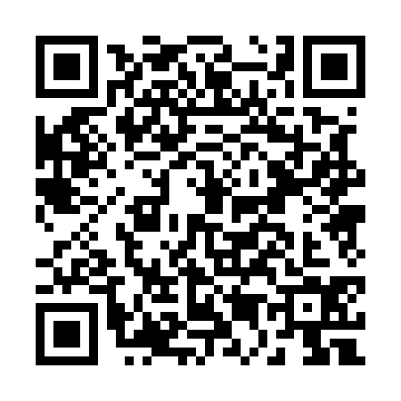 QR code for B505341