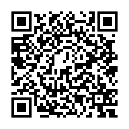 QR code for B510379