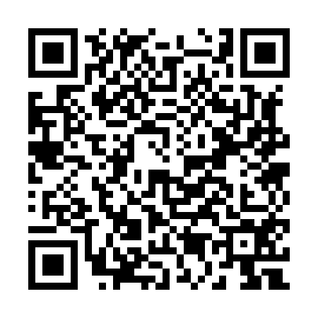 QR code for B538545