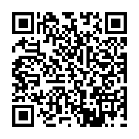 QR code for B542379