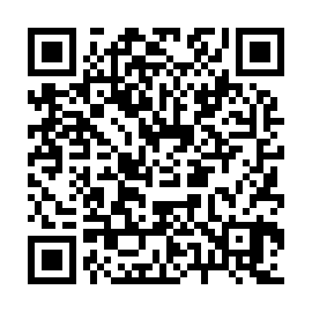 QR code for B54920