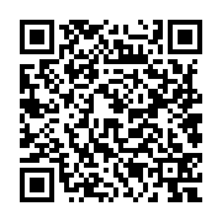 QR code for B569333