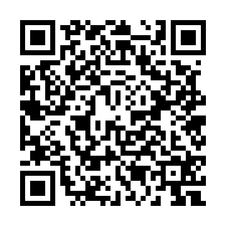 QR code for B575243