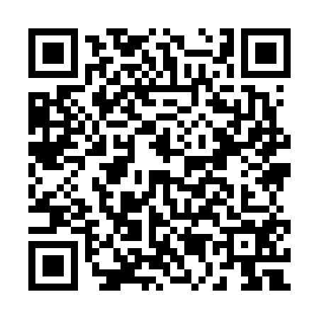QR code for B596545