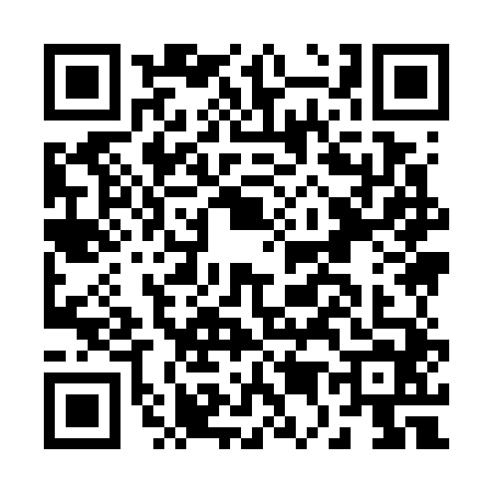 QR code for B597447