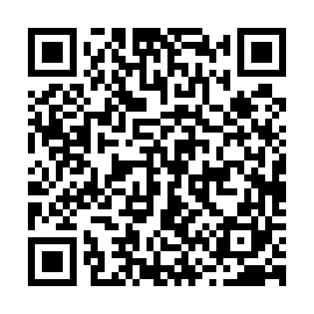 QR code for B60560