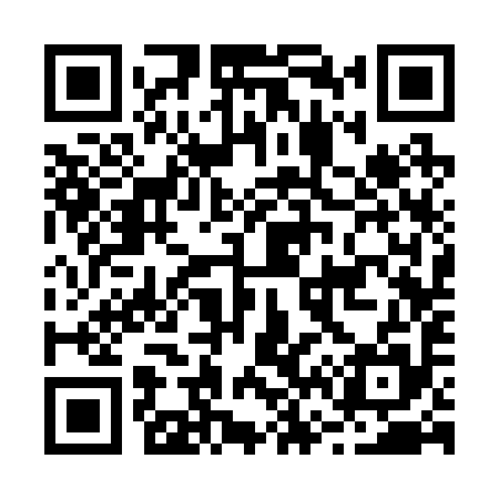 QR code for B63295