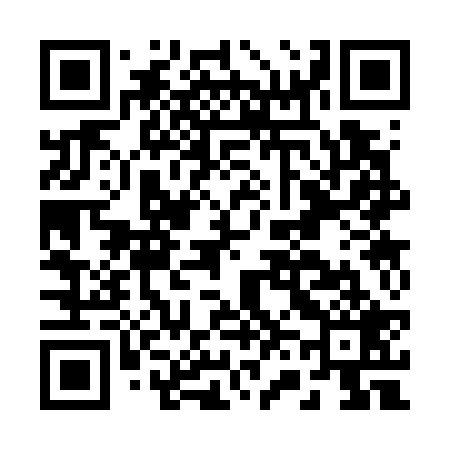 QR code for B63729